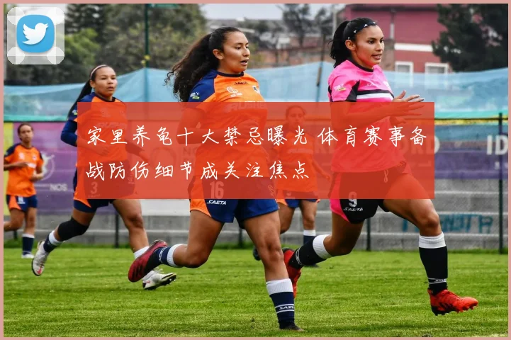 家里养龟十大禁忌曝光 体育赛事备战防伤细节成关注焦点