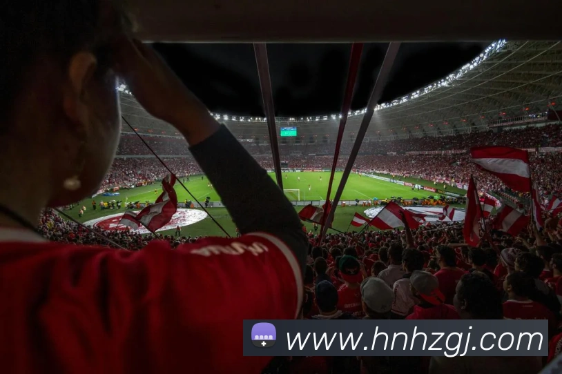 九游j9备用官网平台生态图